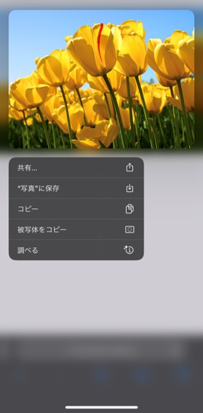 ASCSP_DL2.jpg